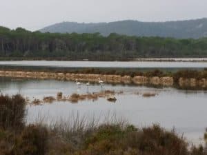 Las Salinas